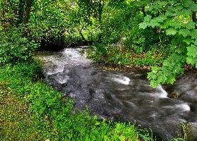 Combe Valley Brook.jpg
